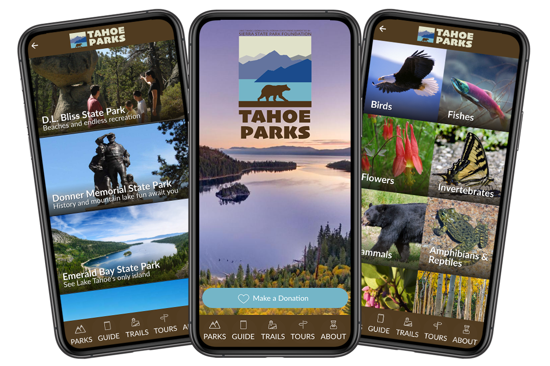 Sierra State Parks Case Study